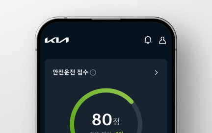 드라이빙 인사이트
