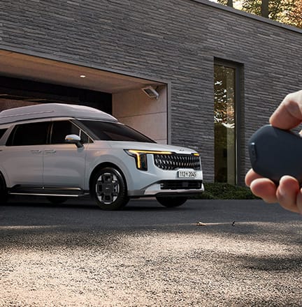 원격 스마트 주차 보조