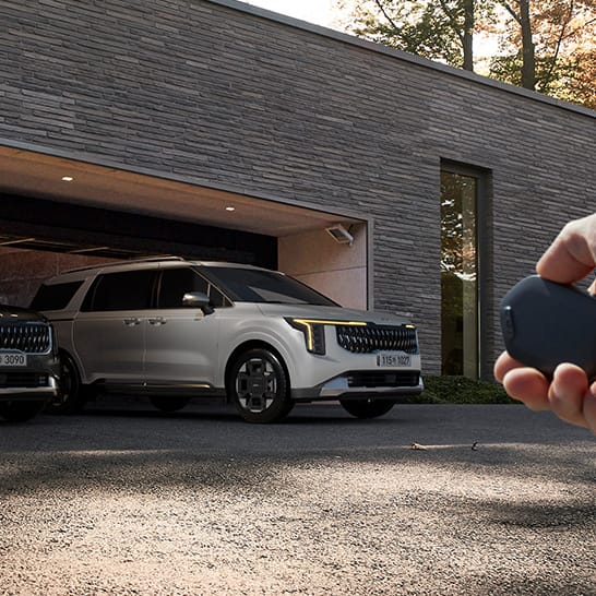 원격 스마트 주차 보조