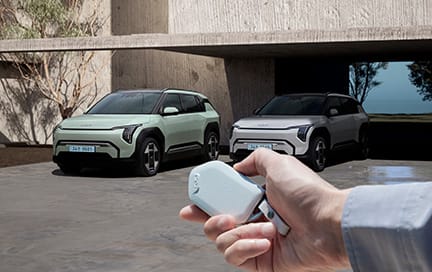 원격 스마트 주차 보조