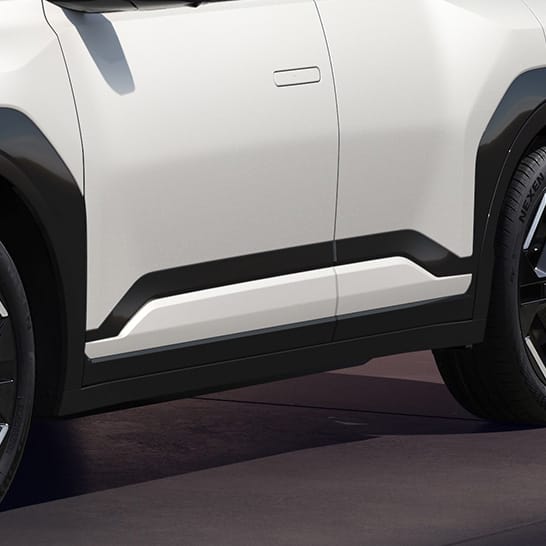 바디칼라 도어 가니쉬