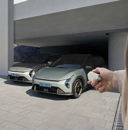 원격 스마트 주차 보조