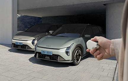 원격 스마트 주차 보조