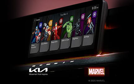 디스플레이 테마