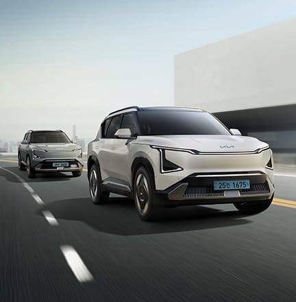 가속 제한 보조