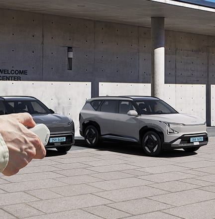 원격 스마트 주차 보조