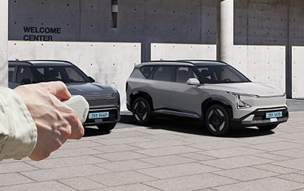 원격 스마트 주차 보조