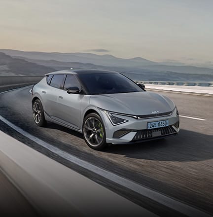 전자식 차동 제한장치(e-LSD) / 전자제어 서스펜션