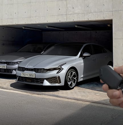 원격 스마트 주차 보조