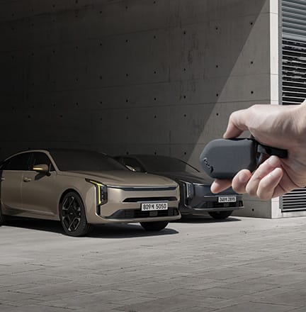 원격 스마트 주차 보조