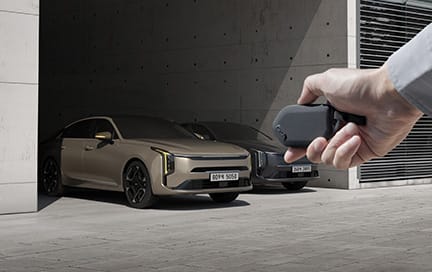 원격 스마트 주차 보조