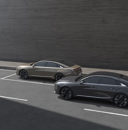 안전 하차 보조