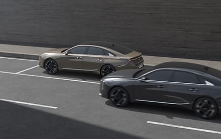 안전 하차 보조