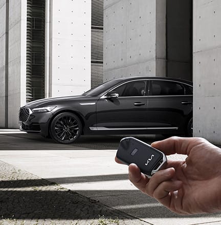 원격 스마트 주차 보조