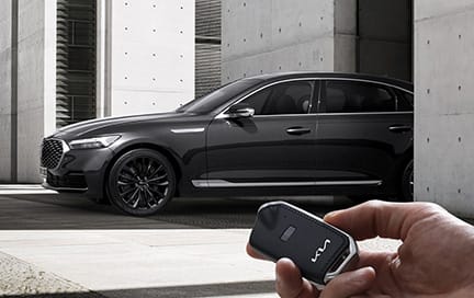 원격 스마트 주차 보조