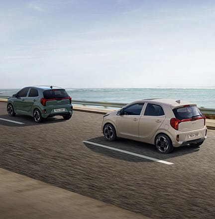 스마트 크루즈 컨트롤 (정차&재출발)