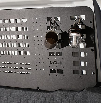 사이드 몰리패널