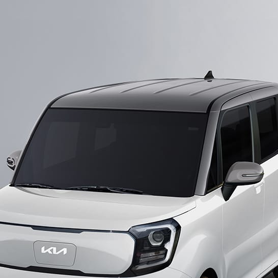 그레이 투톤 패키지 (EV)