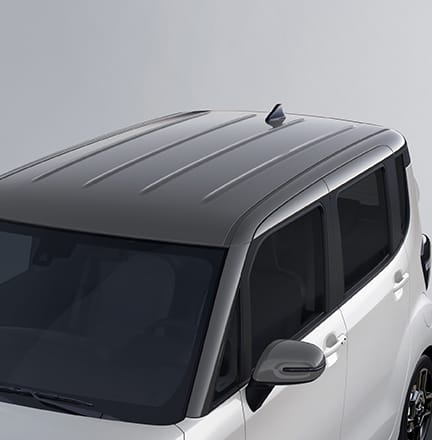 그레이 투톤 패키지 (1.0 가솔린)