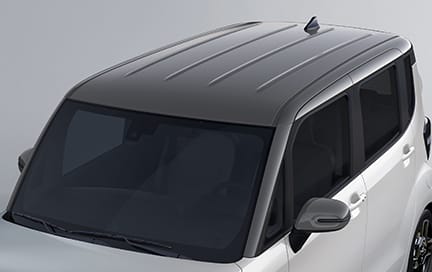 그레이 투톤 패키지 (1.0 가솔린)