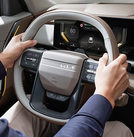 스티어링 휠 그립 감지