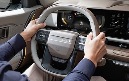 스티어링 휠 그립 감지