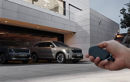 원격 스마트 주차 보조