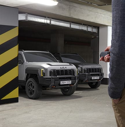 원격 스마트 주차 보조