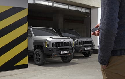 원격 스마트 주차 보조